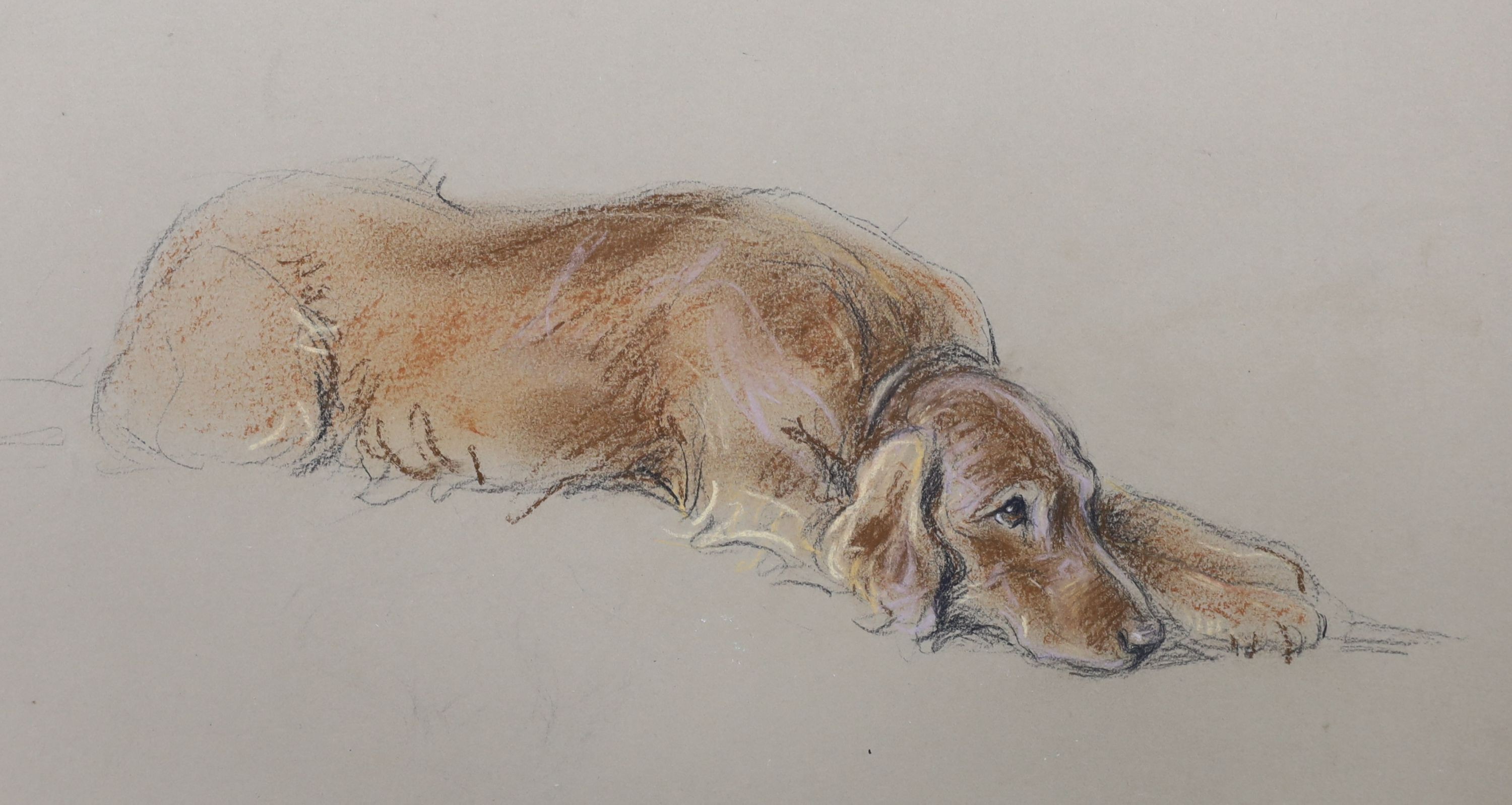 Lucy Dawson (1875-1954), pastel on buff paper, 'Prize Irish Setter', unsigned, title inscribed verso with Francis & Mills stamp, 25 x 37cm